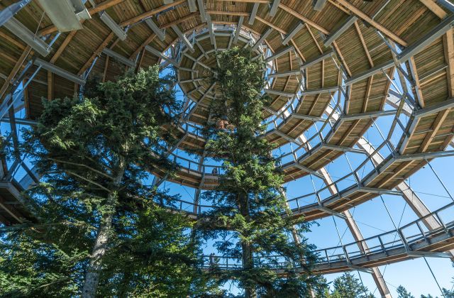 Naturpark Bayerischer Wald